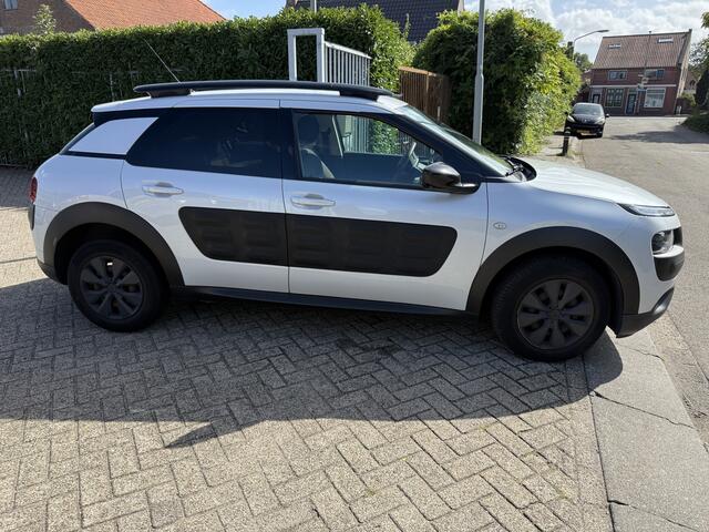 Citroen C4 CACTUS 1.6 BlueHDi Shine