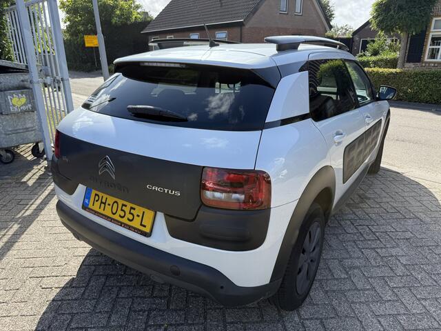 Citroen C4 CACTUS 1.6 BlueHDi Shine