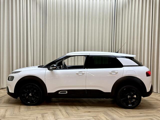 Citroen C4 CACTUS 1.2 PureTech Shine *Nieuwe Distributie* Facelift / Carplay / Camera / Cruise / Navigatie / PDC V&A / Org.NL! / 17'' LMV
