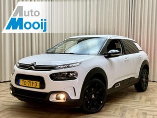 citroen-c4-cactus-1.2-puretech-shin