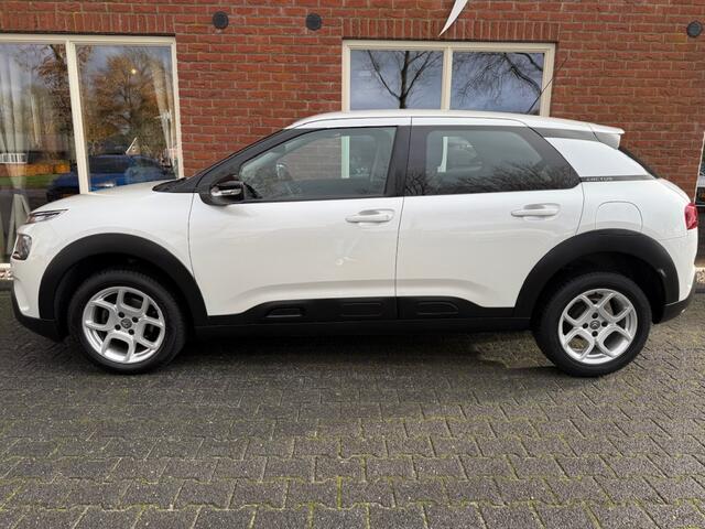 Citroen C4 CACTUS 1.2 PT Business NAVI / CLIMA / CRUISE / PDC / LMV / ELEK.PAKKET