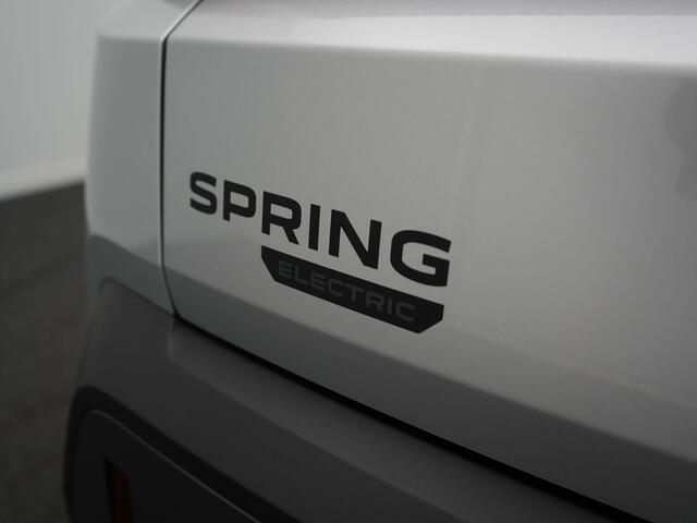 Dacia Spring Expression 65 26.8 kWh - DC Lader -