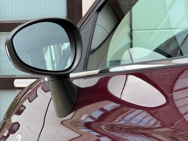 Fiat 500 1.0 Hybrid Dolcevita Airco / Panoramadak / Apple Carplay / Leder Int / 15" LM Velgen / Park Sensors / 1e Eigenaar!