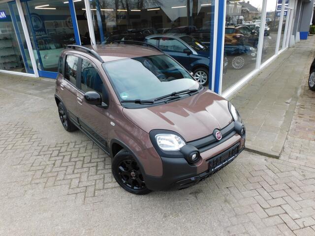 Fiat PANDA 1.2 cross Trussardi zeldzaam !