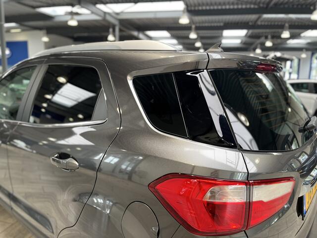 Ford ECOSPORT EcoBoost 125PK Titanium Winter Pack I Camera I Hoge zit I Dode hoek I 46.000km!!