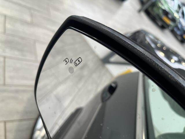 Ford ECOSPORT EcoBoost 125PK Titanium Winter Pack I Camera I Hoge zit I Dode hoek I 46.000km!!