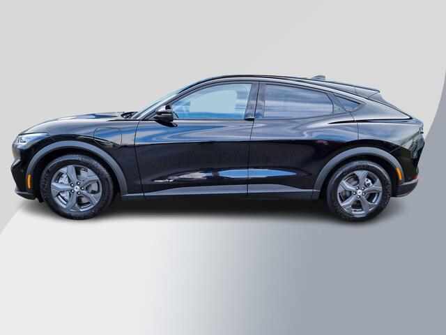 Ford MUSTANG Mach-E RWD 75 kWh 269pk | Technology Pack + | Adaptieve cruise | Winterpack |