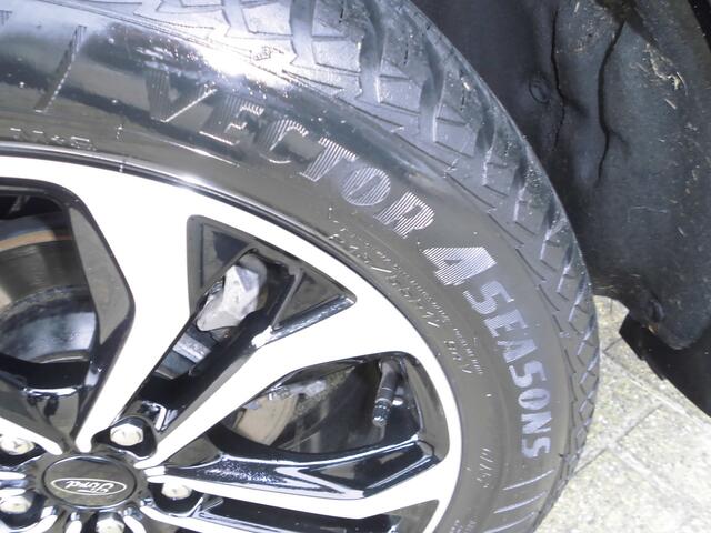 Ford PUMA 155pk EcoBoost Hybrid ST-Line X bomvol! pan.dak-elektr achterklep