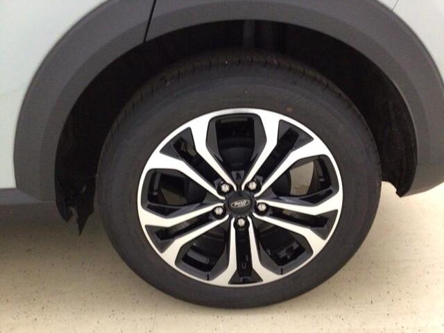 Ford PUMA 1.0 125 pk EcoBoost Hybrid Titanium Nieuw Model Fab. Gar. t/m 2029 Winter Pack, Driver Assistance Pack, Trekhaak afneembaar