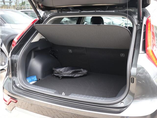 KIA Niro 1.6 GDi PHEV ExecutiveLine I Leder I HarmanKardon I Dodehoekdete