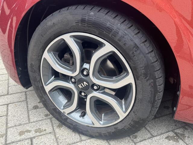 KIA PICANTO 1.0 CVVT First Edition | Navigatie | Climate control | Achter uitrijcamera |