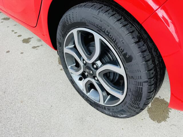 KIA PICANTO 1.0 DPi DynamicPlusLine Clima | Camera | Navi | Keyless | Privacy Glass