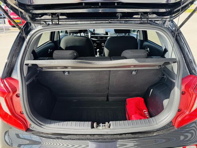 KIA PICANTO 1.0 DPi DynamicPlusLine Clima | Camera | Navi | Keyless | Privacy Glass