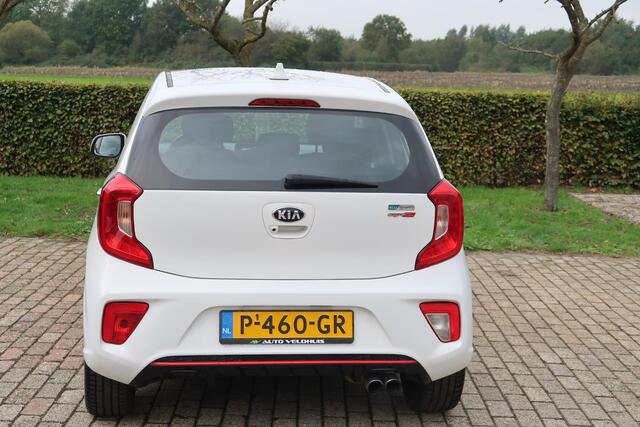 KIA PICANTO 1.0 GT-Line|Cam|Leder|AppleCarplay