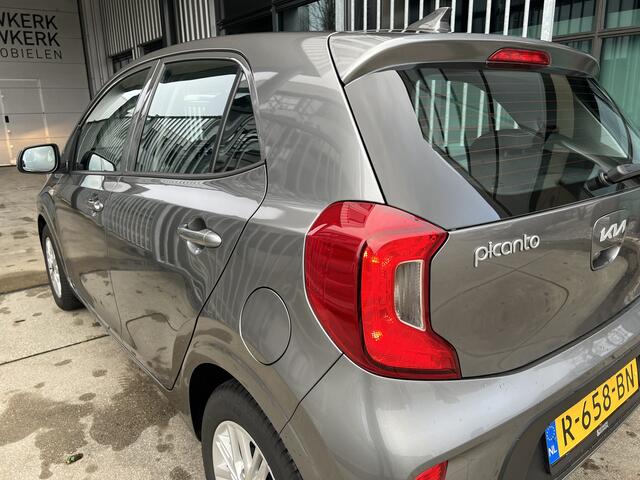 KIA PICANTO 1.0 DPi DynamicLine | CAMERA | CARPLAY / ANDROID | CRUISE CONTROL | AIRCO | LMV | BLUETOOTH | DAB