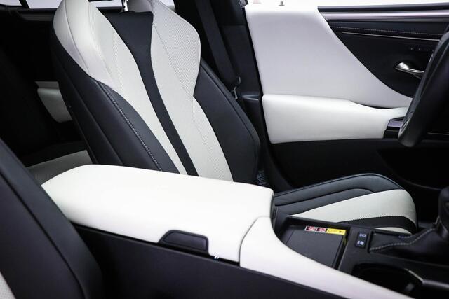 Lexus Es 300h F Sport Line | LEDER | HEAD UP | DAB | MARK LEVINSON