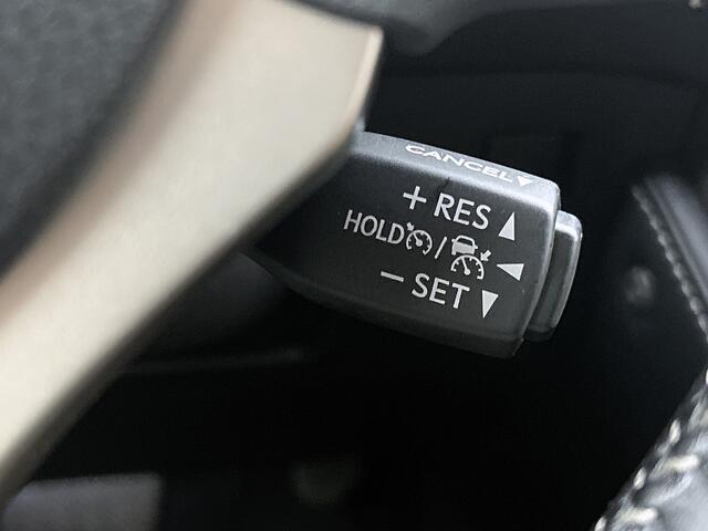 Lexus NX 300h AWD Luxury Line