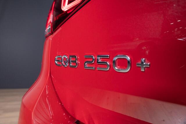 Mercedes-Benz EQB 250+ Business Edition 7p. 71 kWh