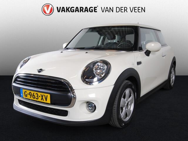 Mini MINI 1.5 One Salt