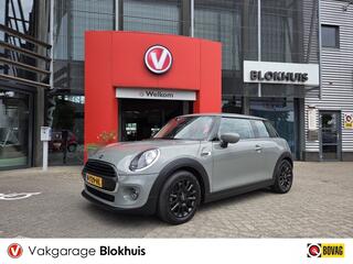 mini-mini-1.5-one-salt-business--n