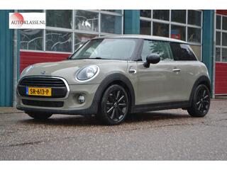 mini-one-mini-1.5-salt