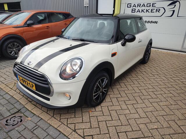 Mini ONE Mini 1.5 Salt Bi-Tone 6-Bak