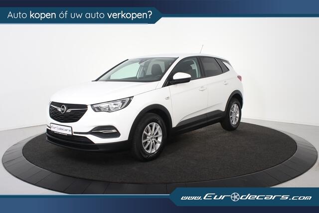 Opel Grandland X 1.2 Turbo Business Executive *Parkassist*Airco*APK nieuw*