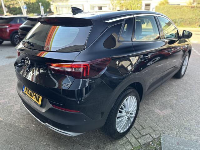 Opel Grandland X 1.2 Turbo Business Executive ECC/ CAMERA / Sensoren.