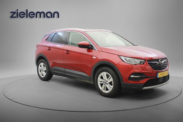 Opel Grandland X 1.2 Turbo Business Executive - Carplay, Navi, Camera, Cruise