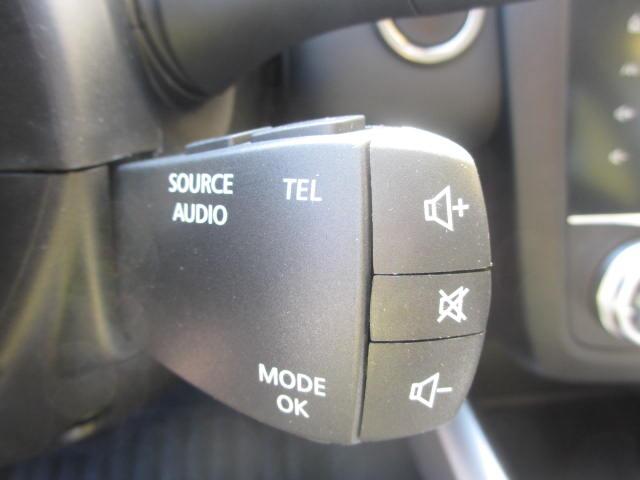 Renault KADJAR 1.3 TCe 140P Intens / CAMERA / 19"/ NAVI / PARK. SENSOREN