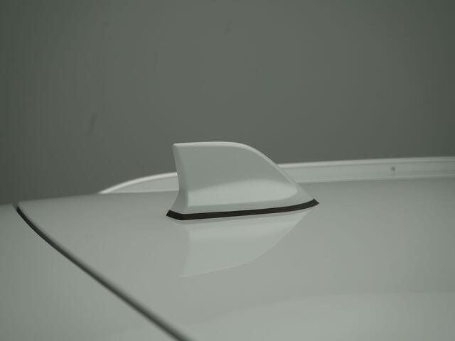 Renault MEGANE Estate 1.6 E-Tech Plug-In Hybrid 160 - RIJKLAARPRIJS - Achteruitrijcamera - All Seasonbanden - Cruise Control Adaptief