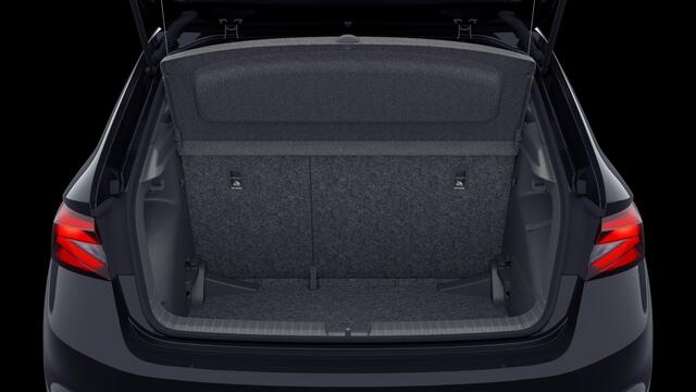 Skoda FABIA 1.0 TSI Monte Carlo