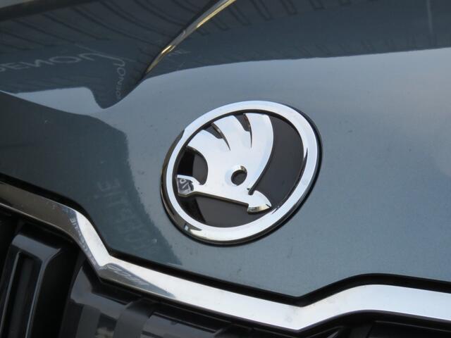 Skoda Karoq 1.0 TSI 115pk DSG-aut. Clever Edition / Virtual / Navi / BOVAG g