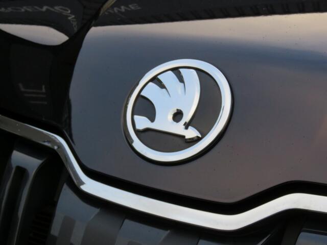 Skoda Kodiaq 1.5 TSI 150pk DSG-aut.BUS. ED. / Pano / 360 Camera / Trekhaak / Half leder / BOVAG garantie