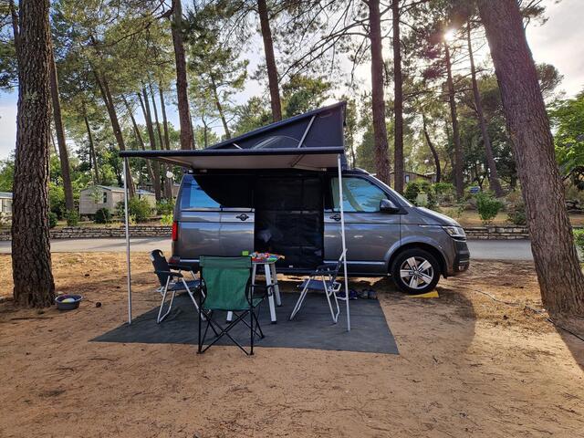 Volkswagen CALIFORNIA California 2.0TDI 204PK Ocean Veel Extra's - Bearlock