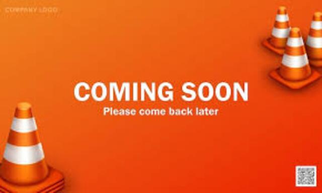 Volkswagen TIGUAN 1.5 TSI ACT Highline Business R Digidash | Pano | Camera | LED | LMV 19"| NL auto | 1e eig.